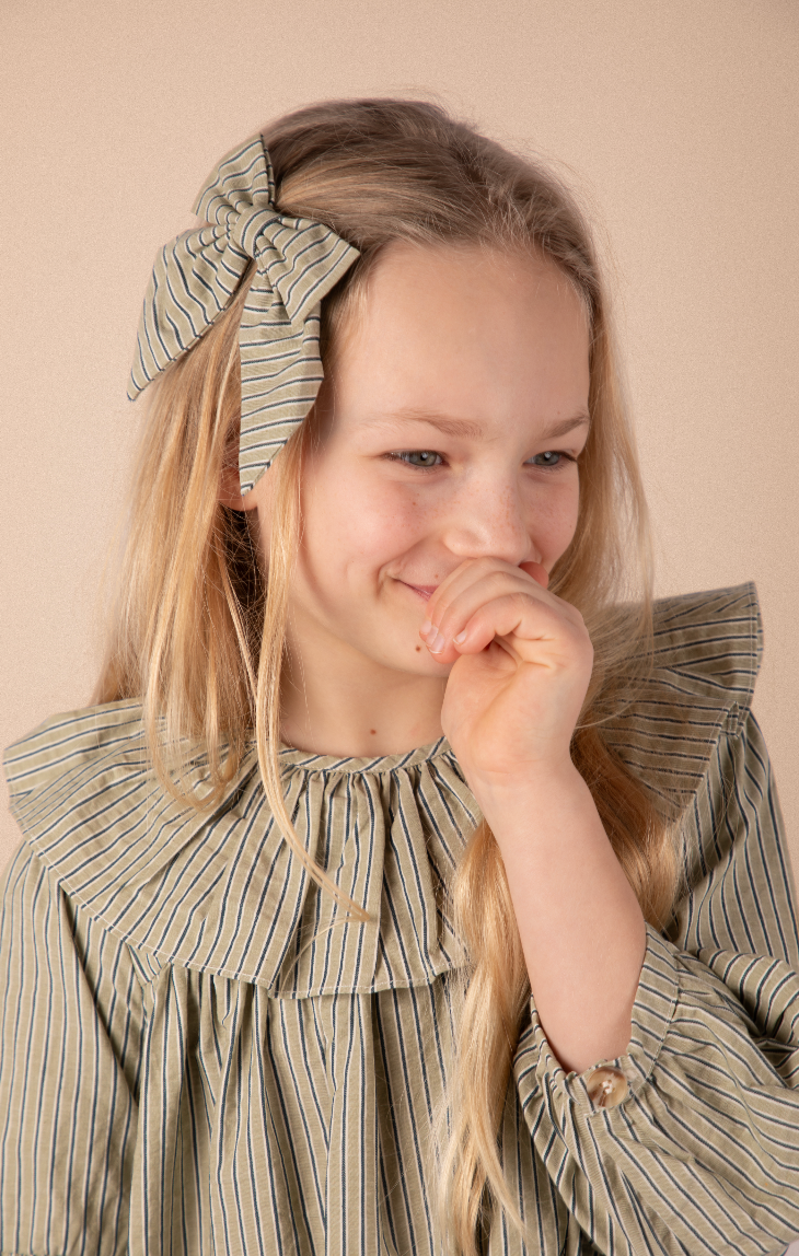 Barette Carlotta - Rayures menthe