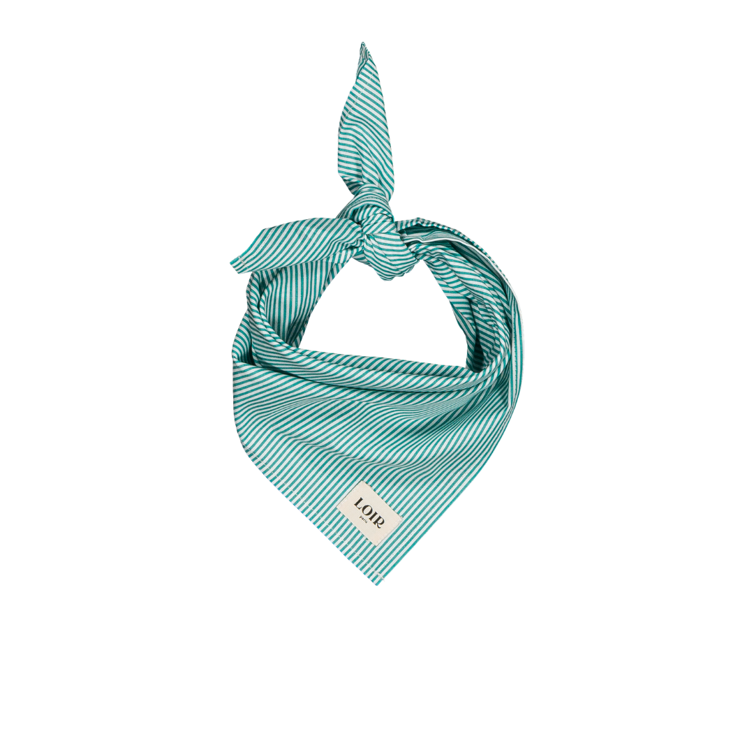 Foulard Alfred - Rayures vertes