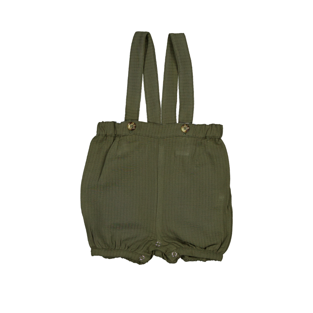 Short OLIVE - Coton vert