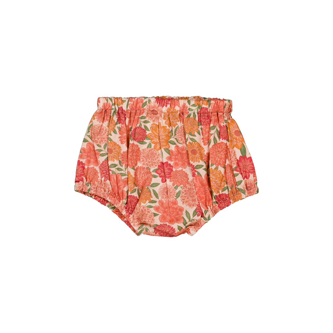 Bloomer Alice - Pivoine